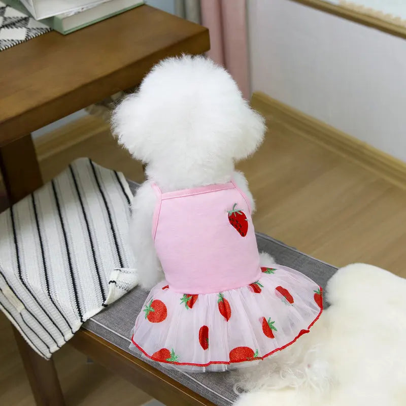 Cute Pet Dog Dress for Small Dogs