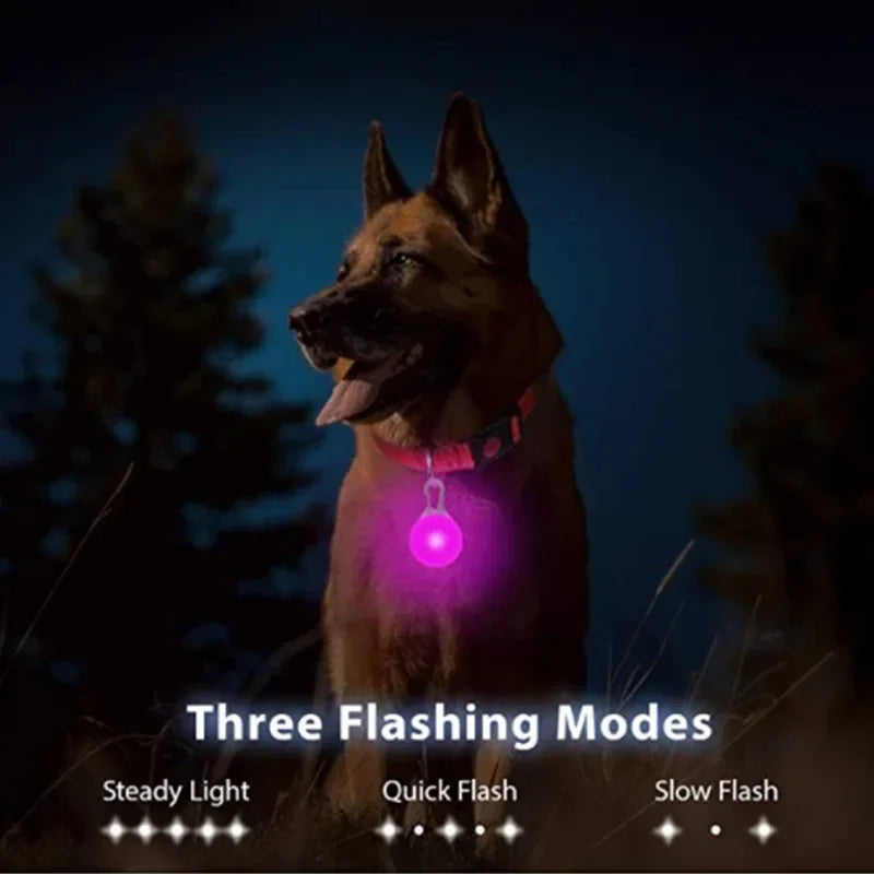LED Dog Collar Pendant Dog Cat Collar Pet Leads Glow