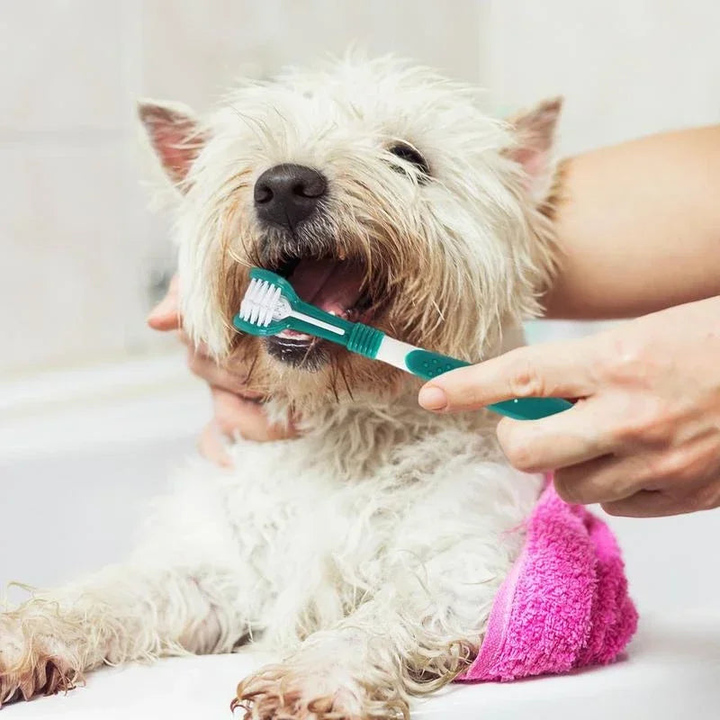 3-Sided Pet Toothbrush Dog Plastic Toothbrush