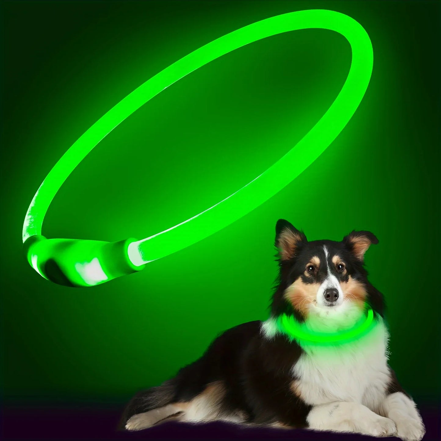 Pet Dog LED Light Collar Luminous Anti-Lost