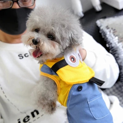 Cooling Dog Clothes Summer Cute Funny