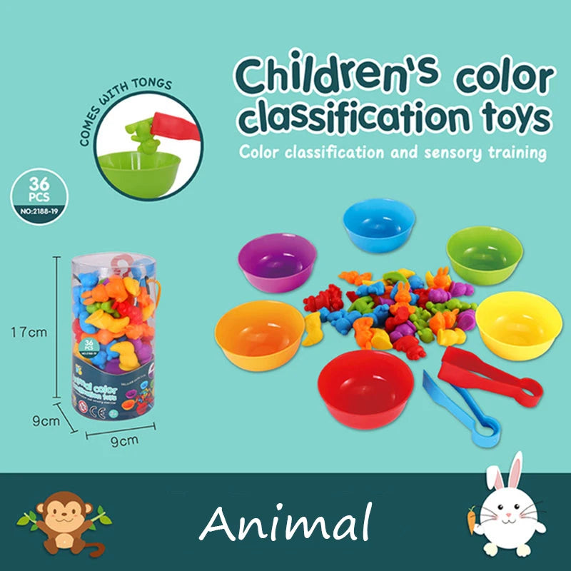 Montessori Material Rainbow Counting Bear