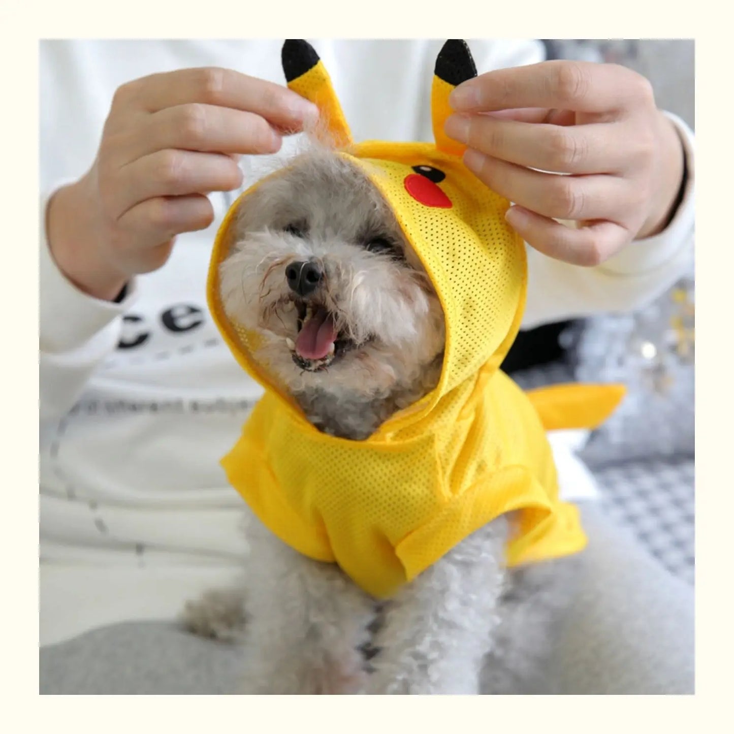 Cooling Dog Clothes Summer Cute Funny
