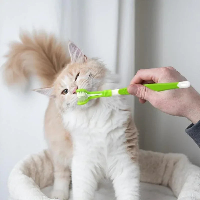 3-Sided Pet Toothbrush Dog Plastic Toothbrush