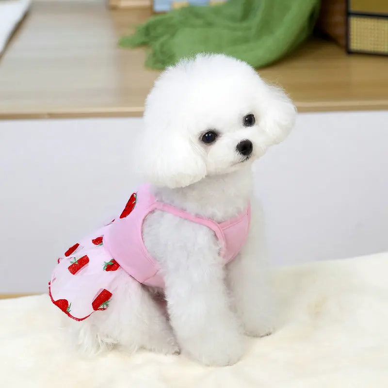 Cute Pet Dog Dress for Small Dogs