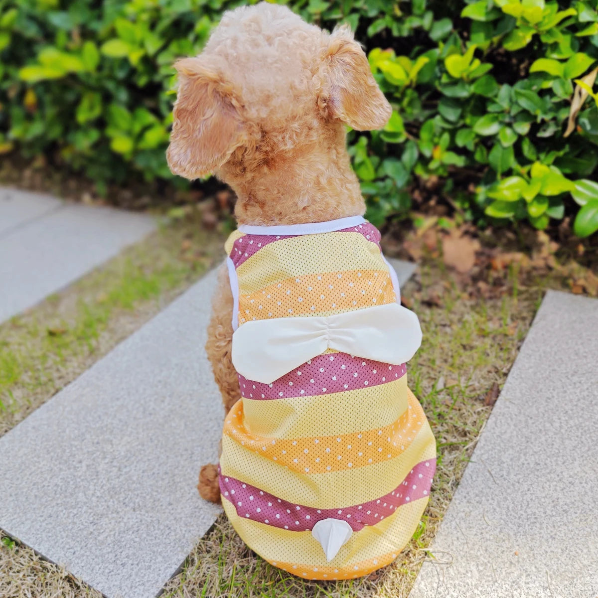 Cooling Dog Clothes Summer Cute Funny