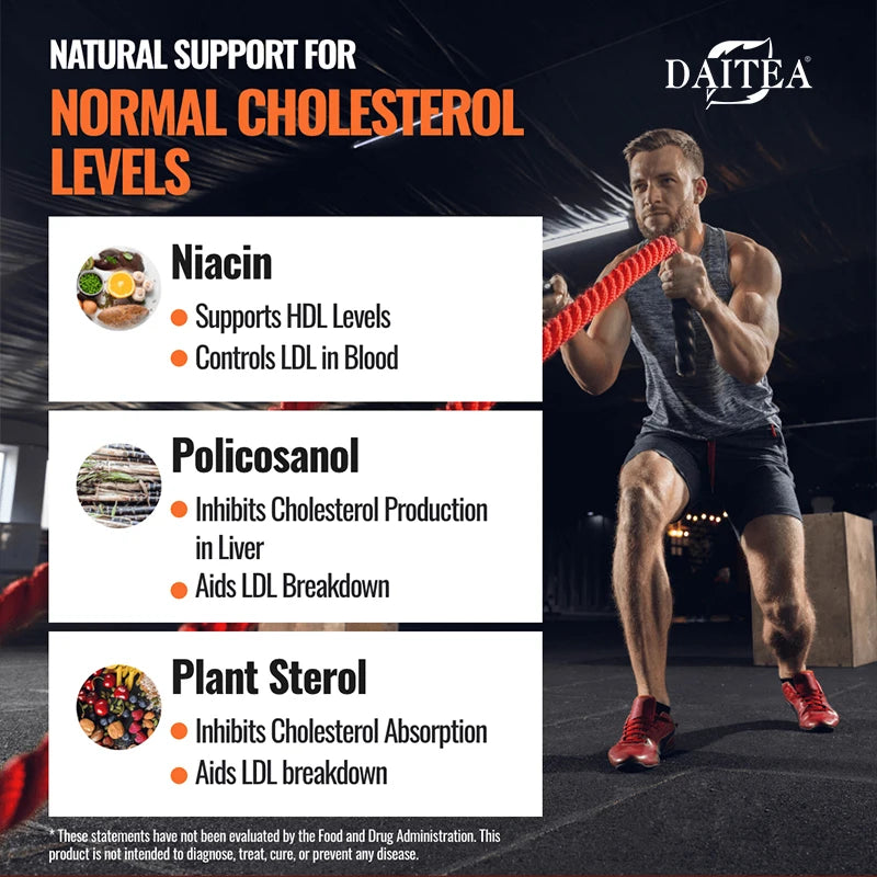 Cholesterol Support Supplements - Supports Cholesterol