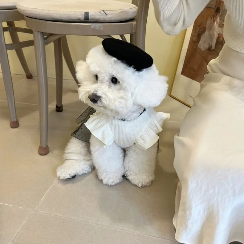 Dog Clothes for Small Dogs Summer Dog