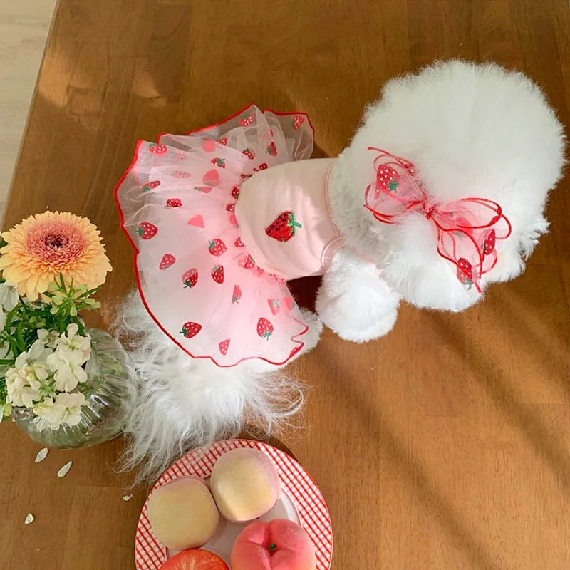 Summer Strawberry Dress for dogs