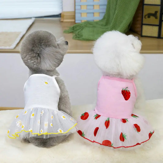 Cute Pet Dog Dress for Small Dogs