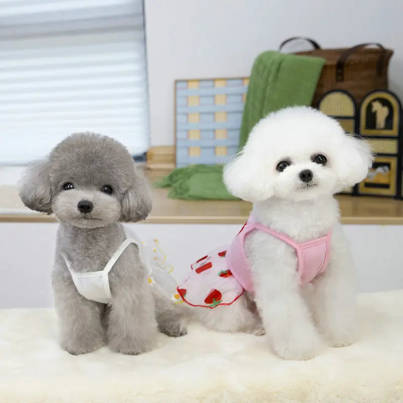 Cute Pet Dog Dress for Small Dogs
