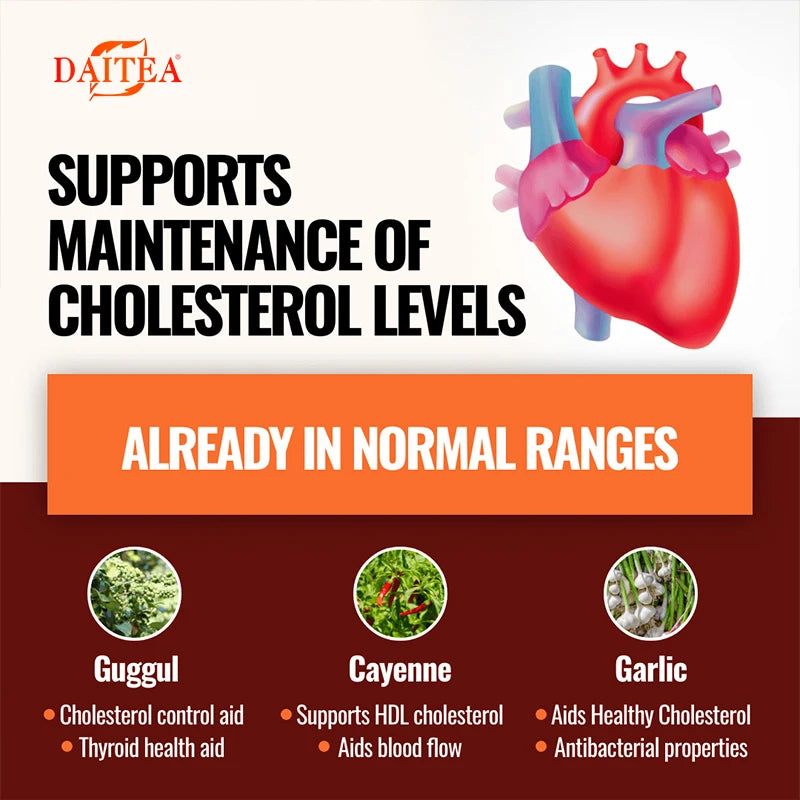 Cholesterol Support Supplements - Supports Cholesterol