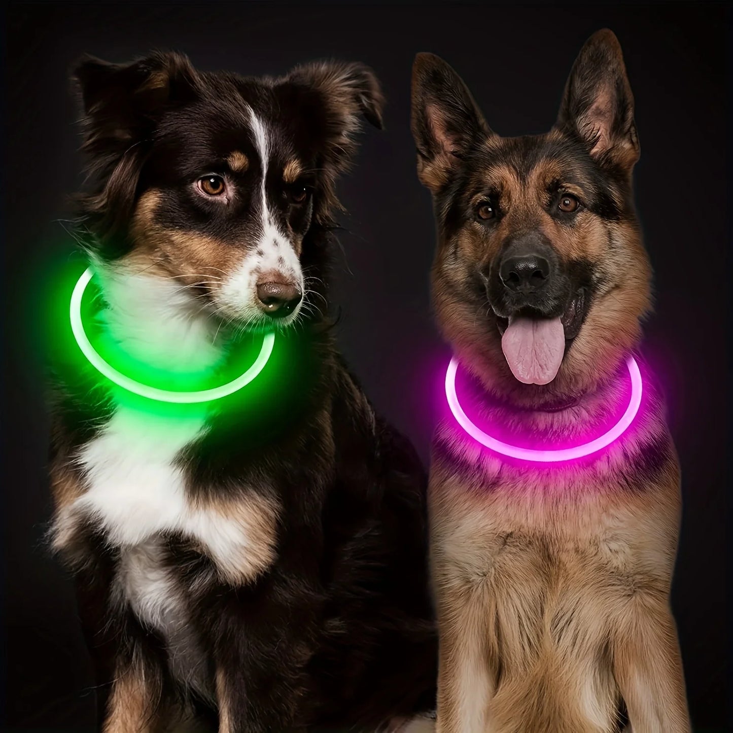 Pet Dog LED Light Collar Luminous Anti-Lost