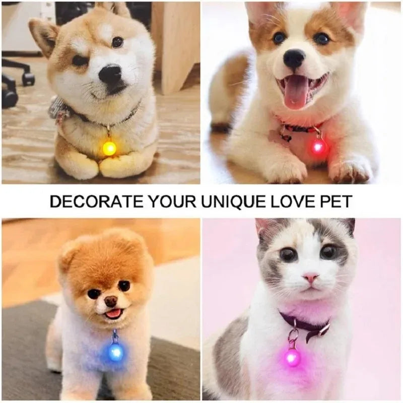 LED Dog Collar Pendant Dog Cat Collar Pet Leads Glow