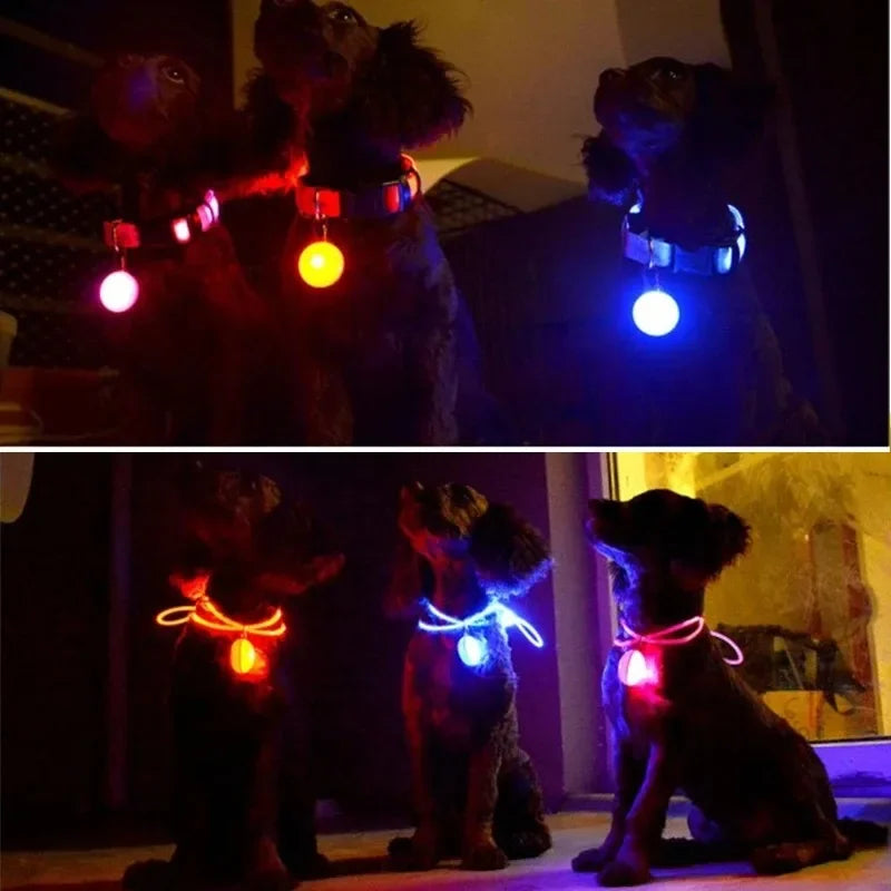 LED Dog Collar Pendant Dog Cat Collar Pet Leads Glow