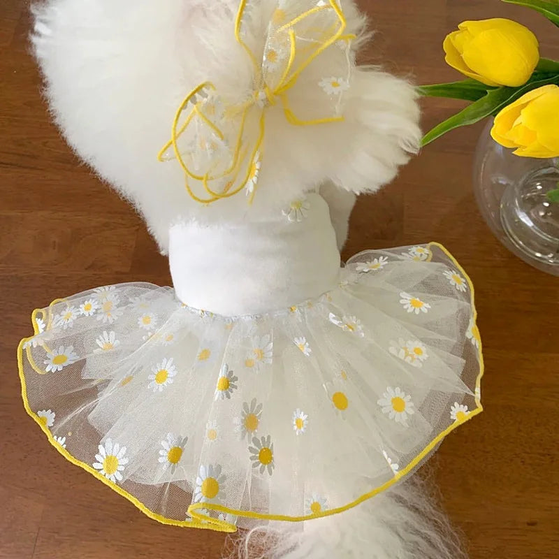 Summer Strawberry Dress for dogs