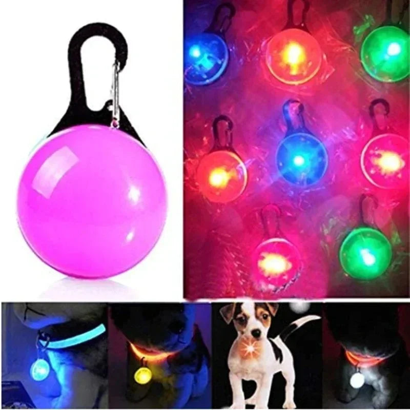 LED Dog Collar Pendant Dog Cat Collar Pet Leads Glow