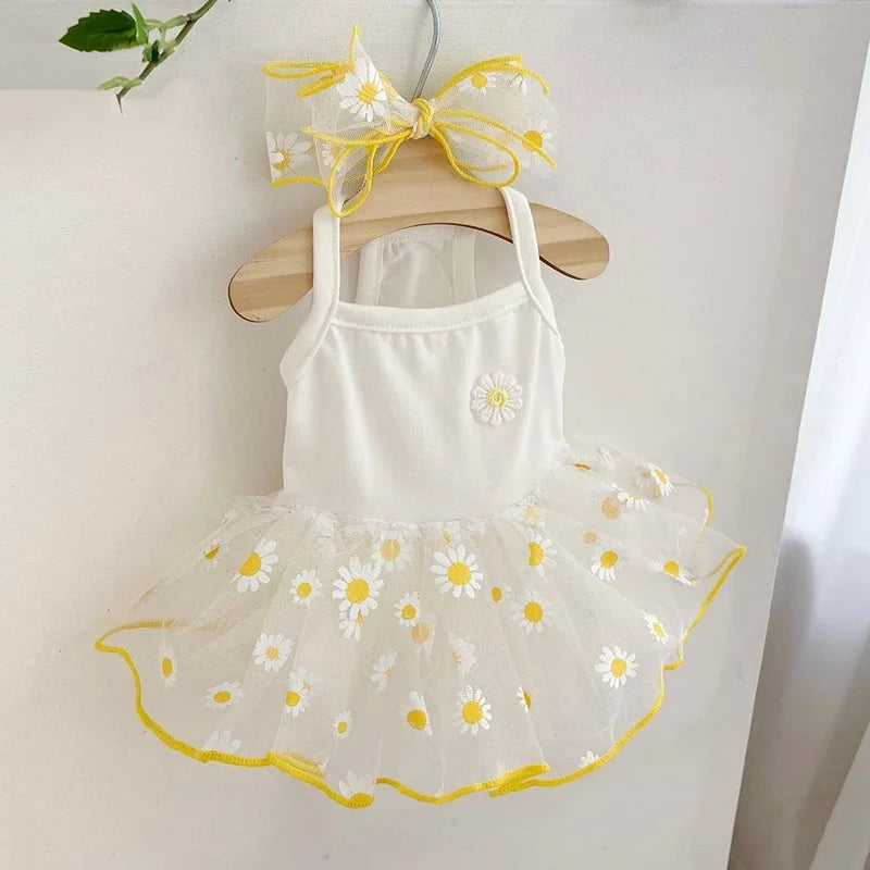 Summer Strawberry Dress for dogs